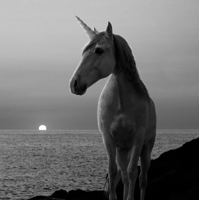 Licorne